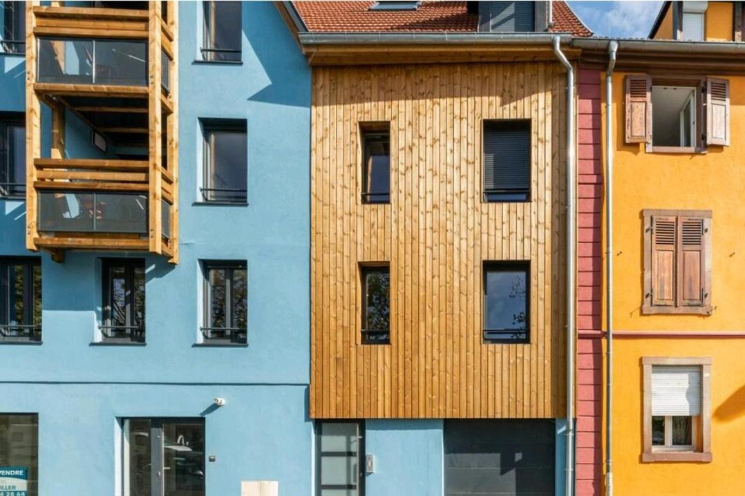 Le Nature 1 Chambre Et Sauna 科尔马 外观 照片